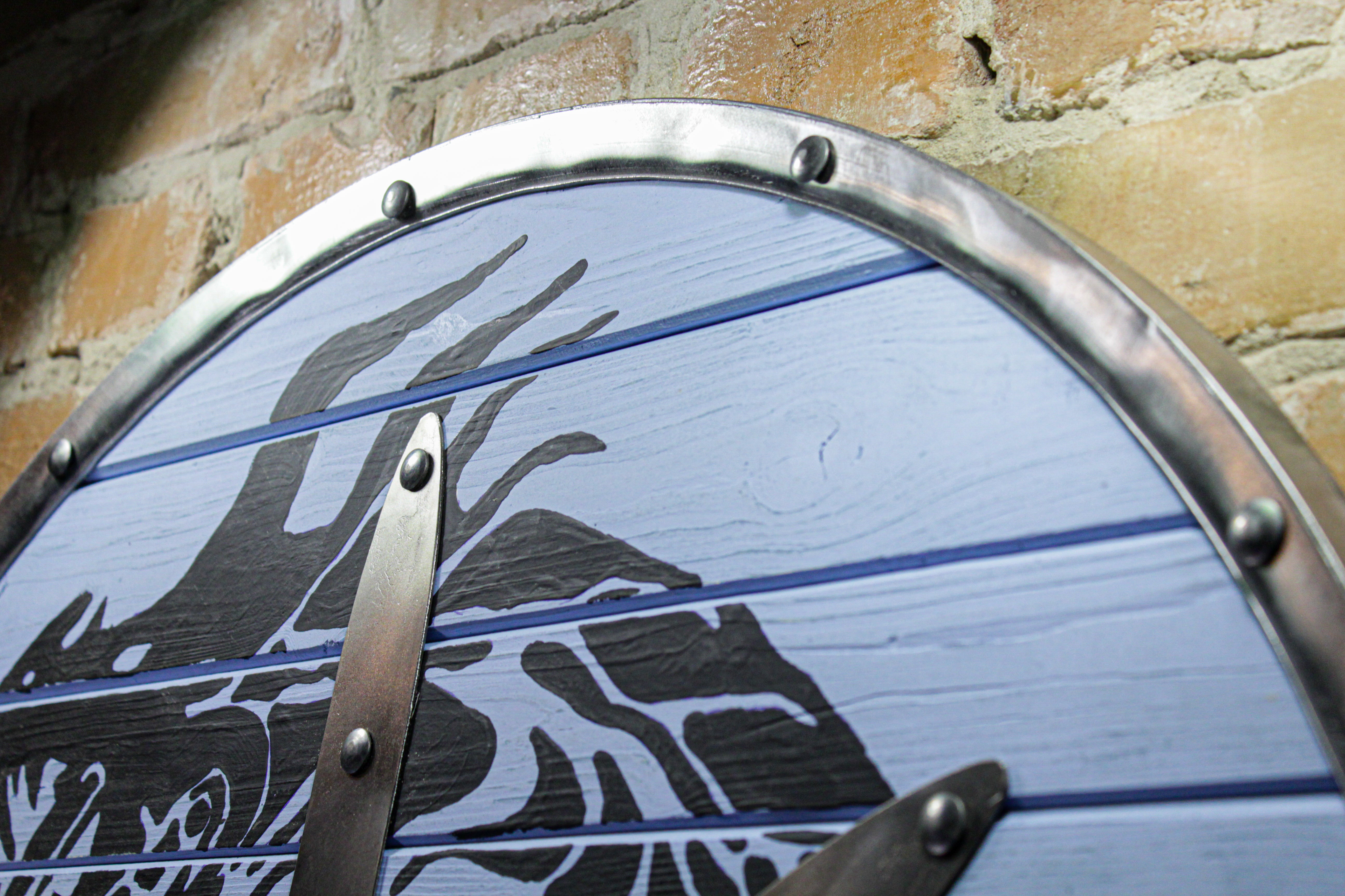 Norse dragon shield