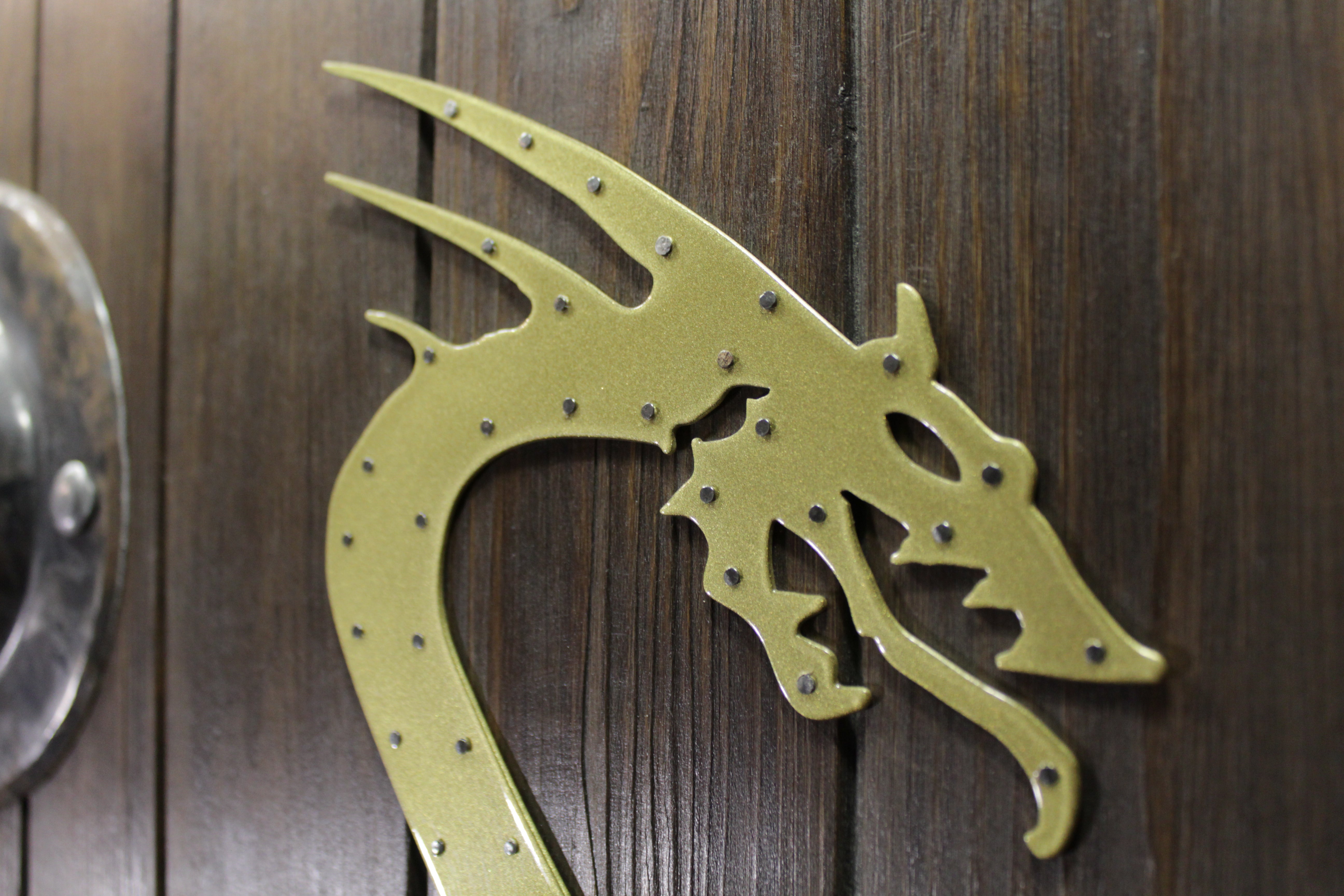 Viking shield "Drakkar"