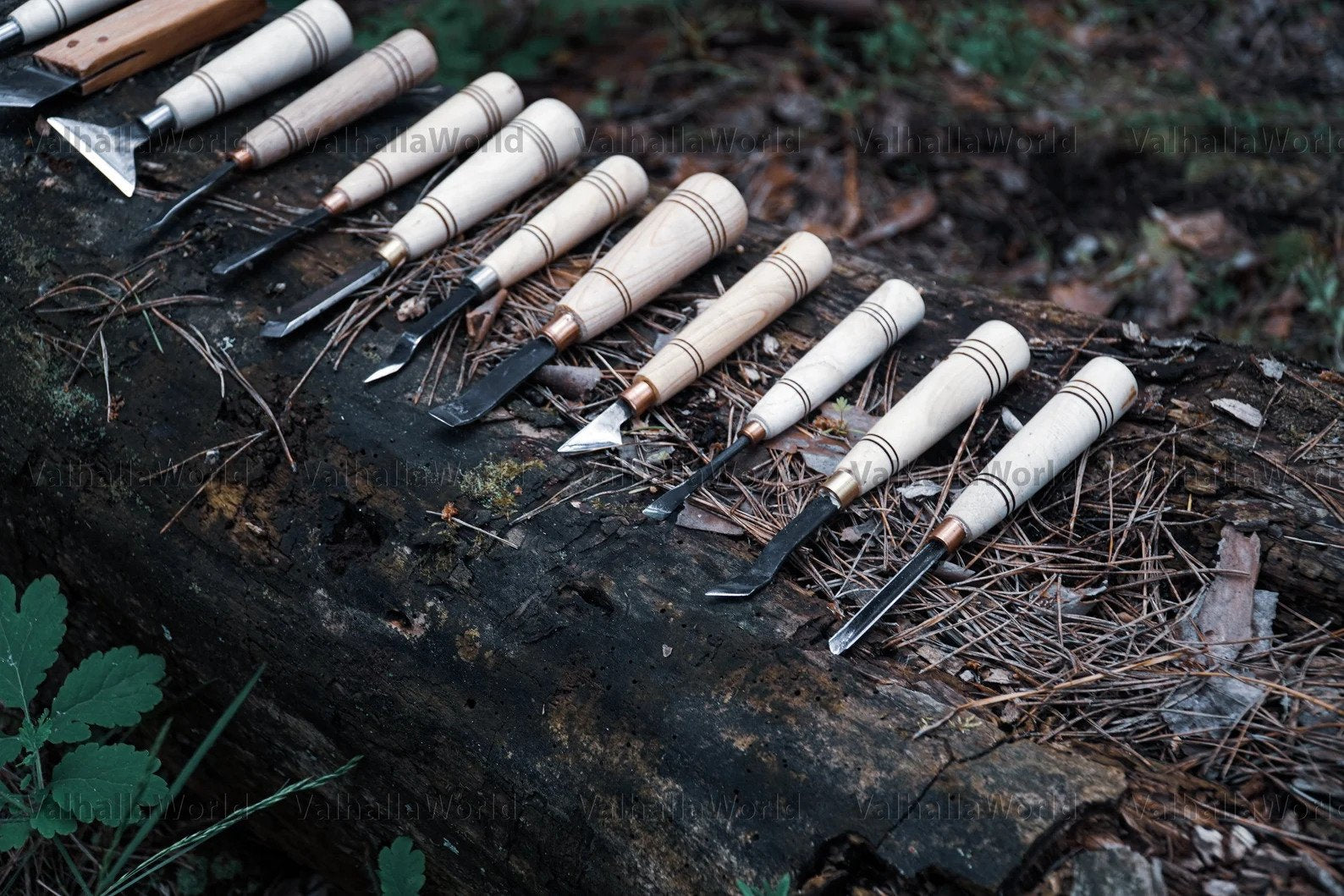 Wood carving chisel set