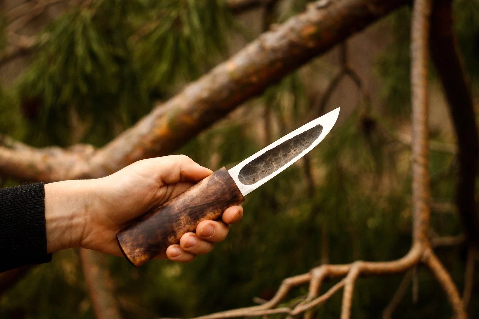 Bowie hunting knife