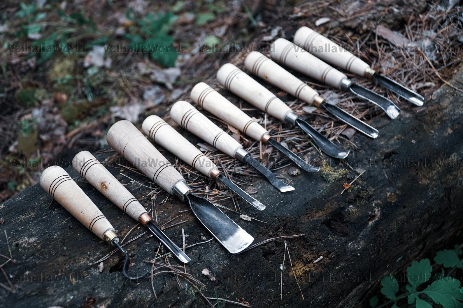 Wood carving chisel set