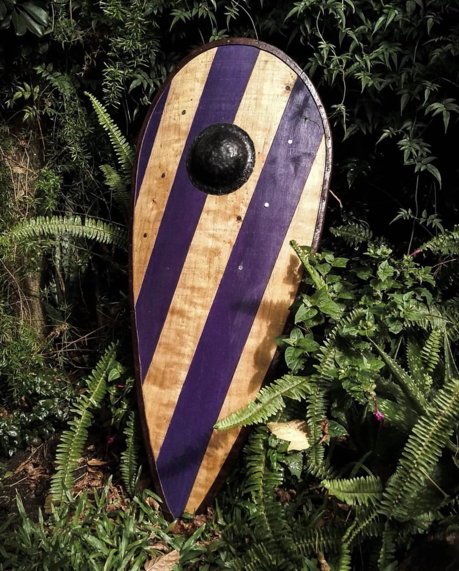Sca kite shield