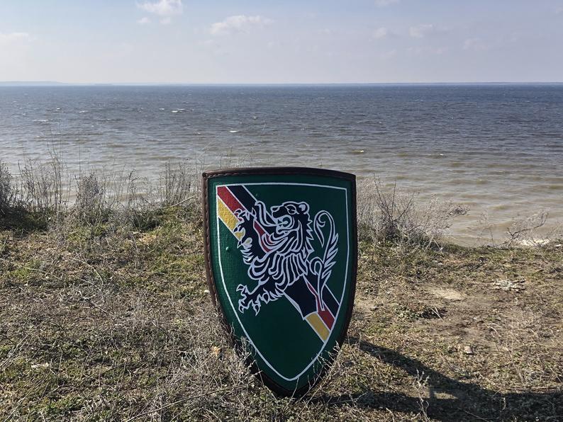 Battle ready targe shield