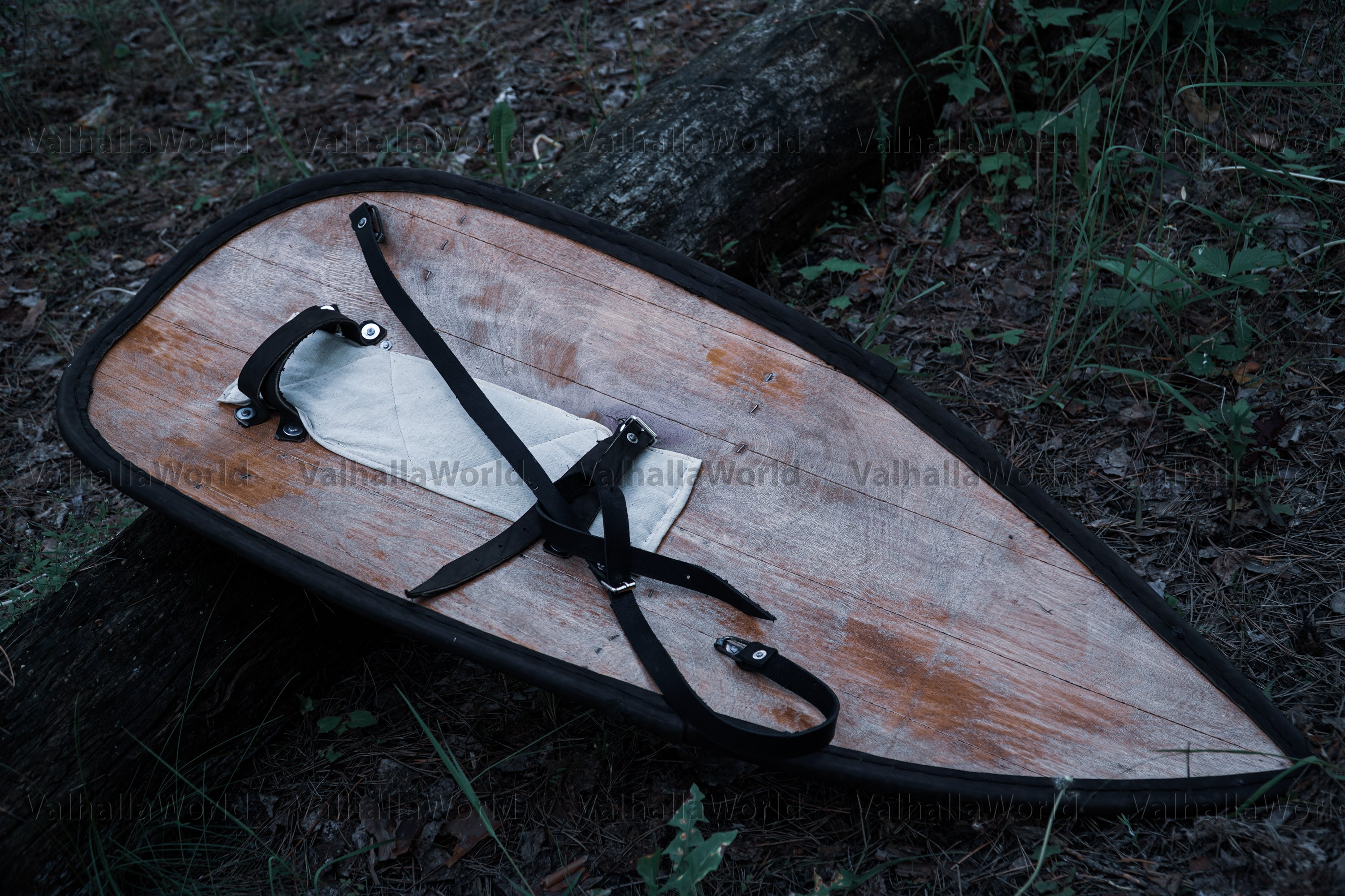 Personalized kite shield