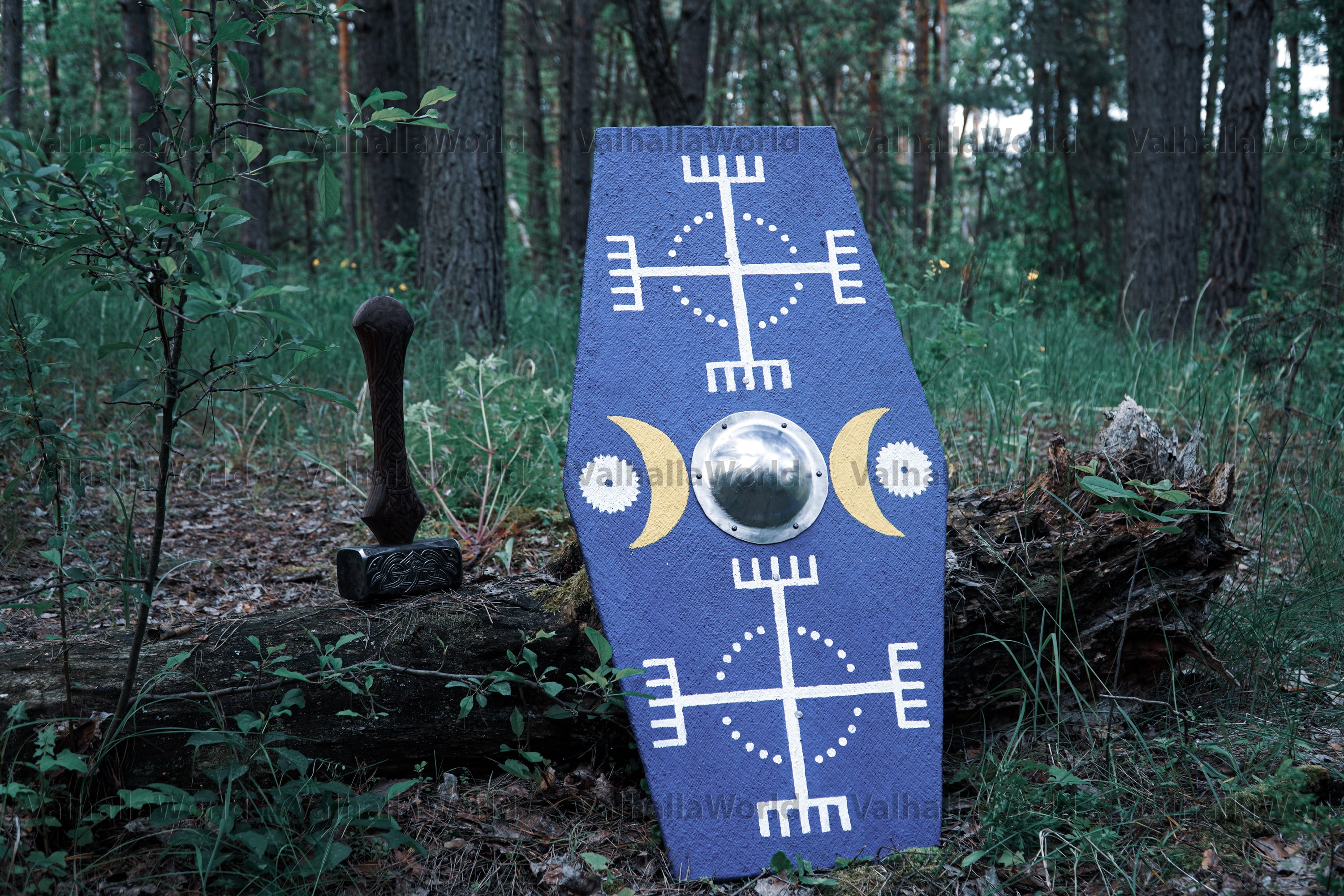 Germanic shield for sale