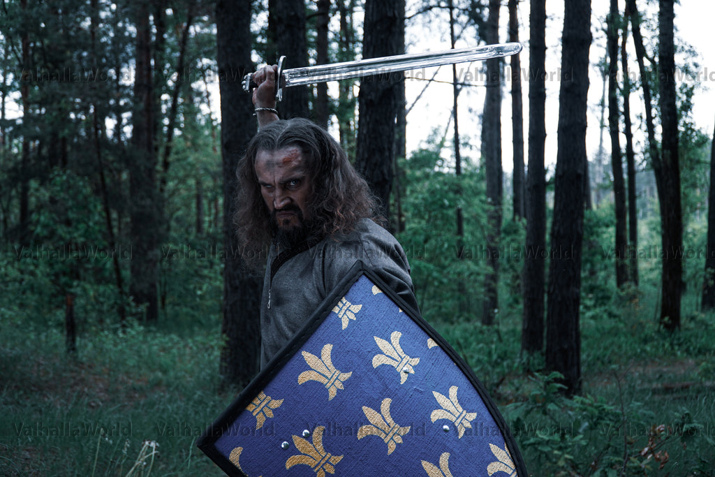 Viking sword and shield for sale