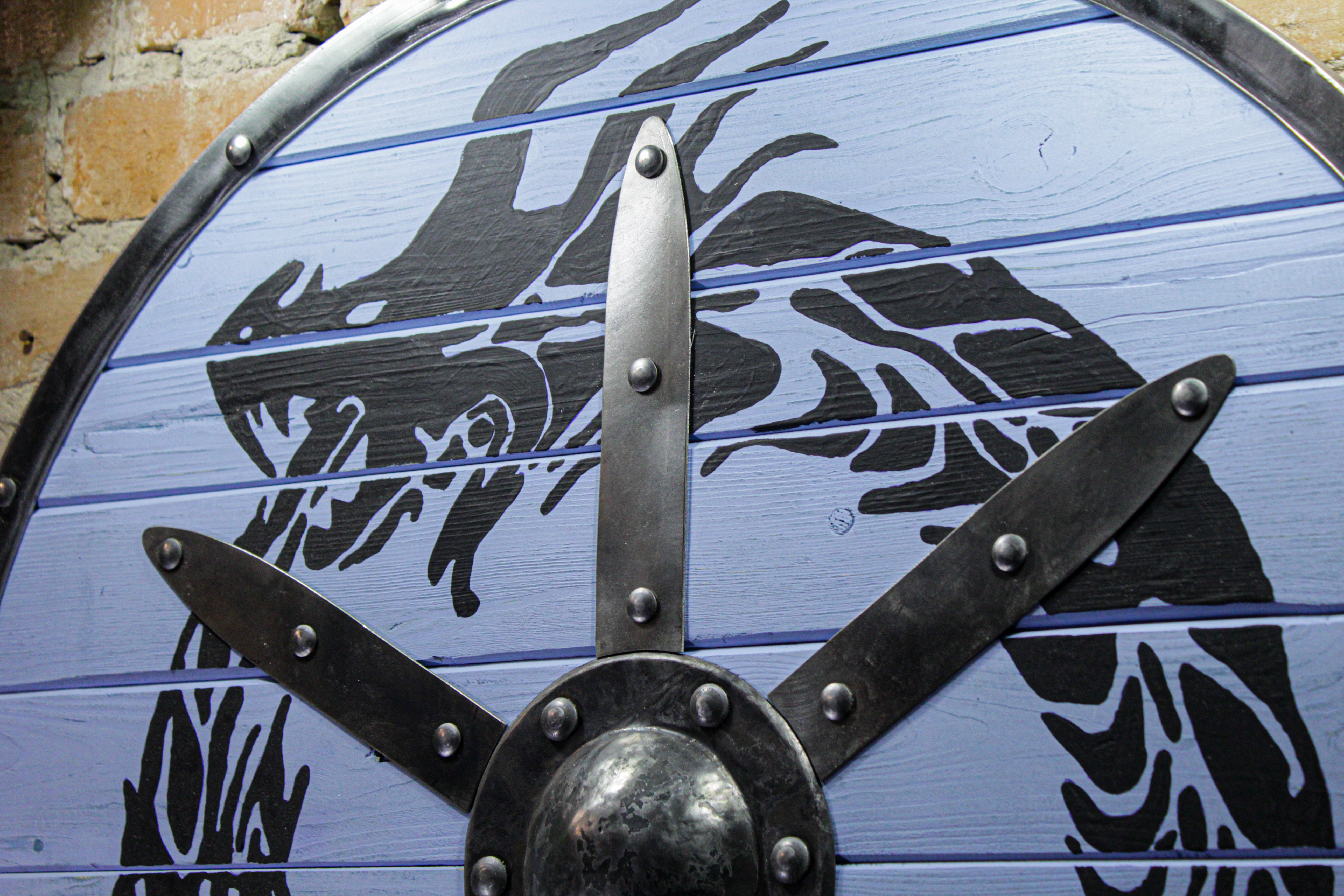 Viking dragon shield