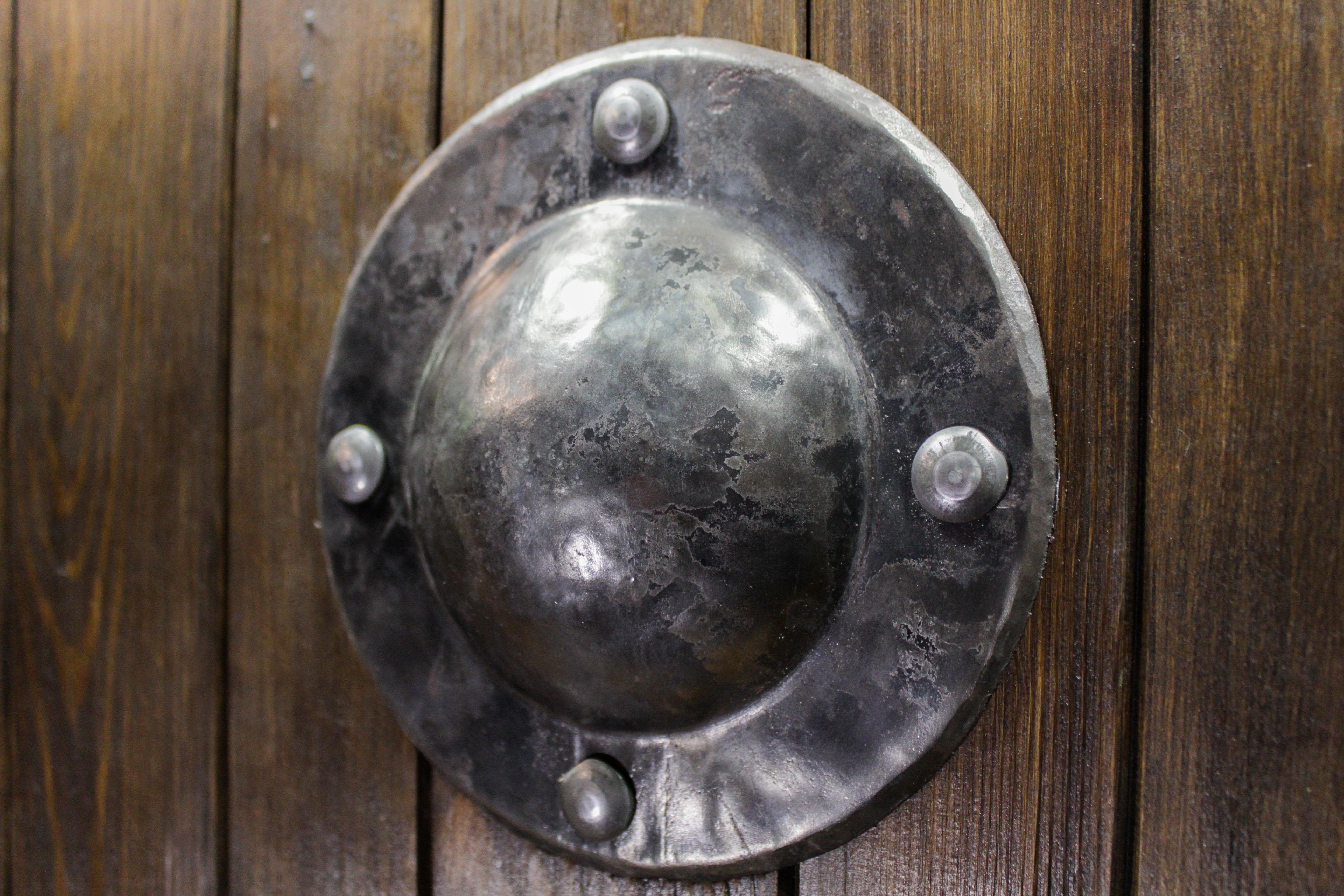 Wooden viking shield