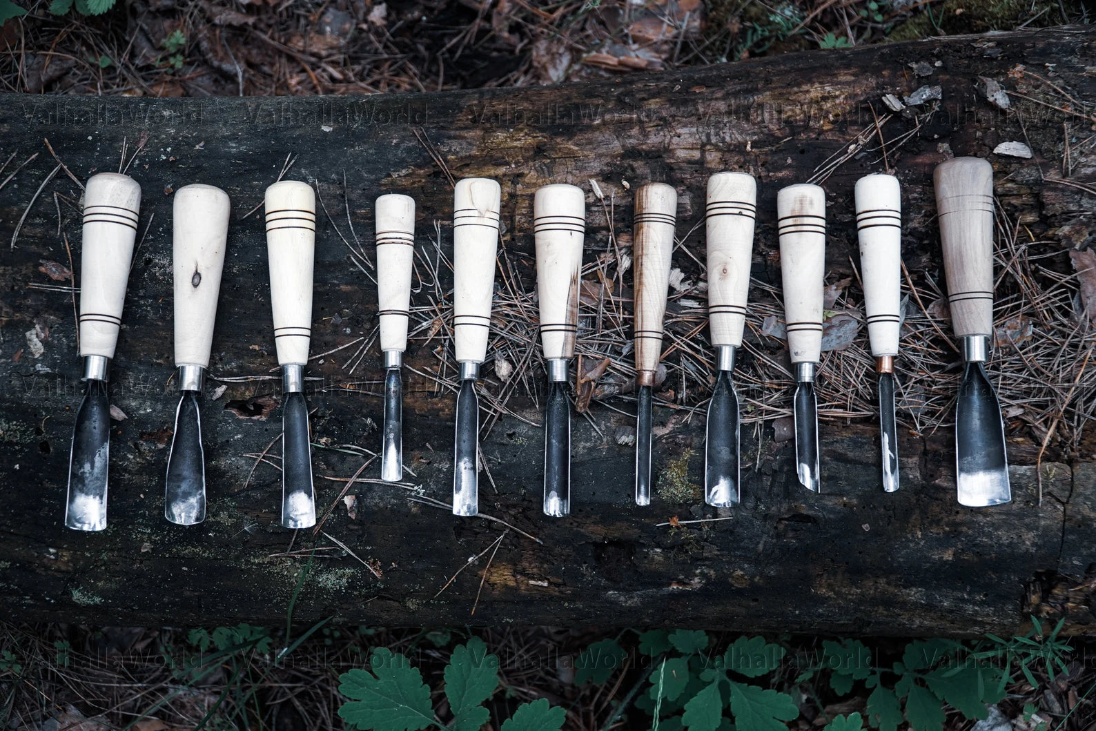 Beginners wood working set