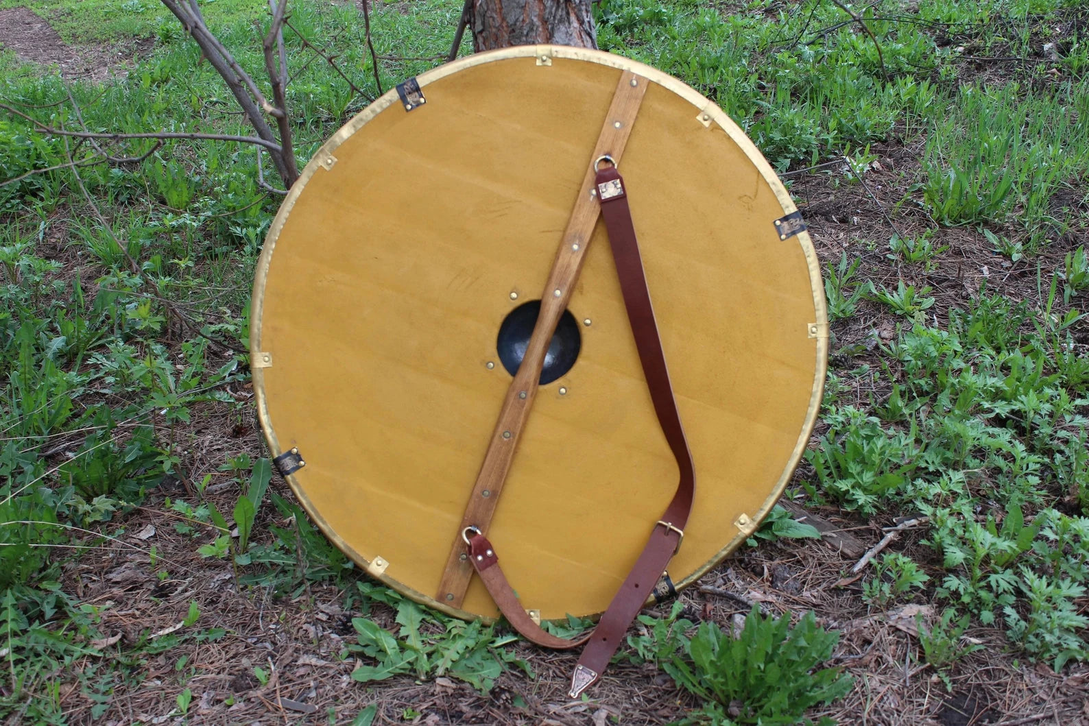 Sca shield for sale